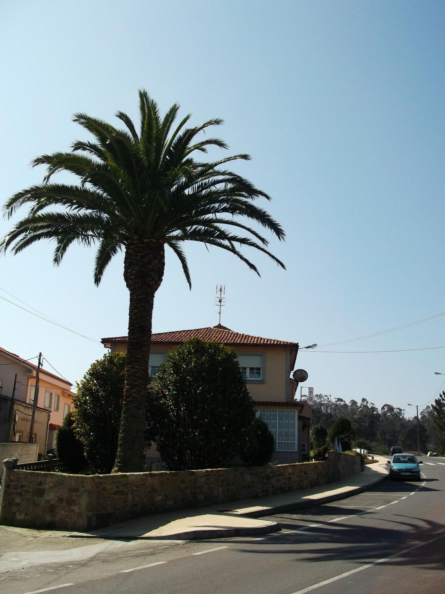 Hostal Pereirina Cee Exterior foto