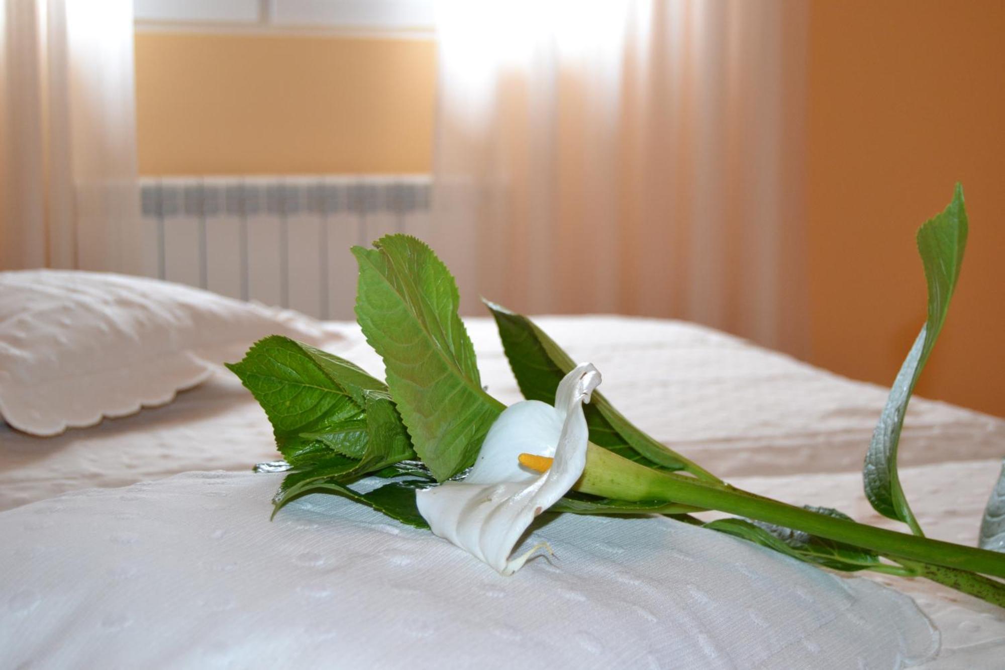 Hostal Pereirina Cee Cameră foto